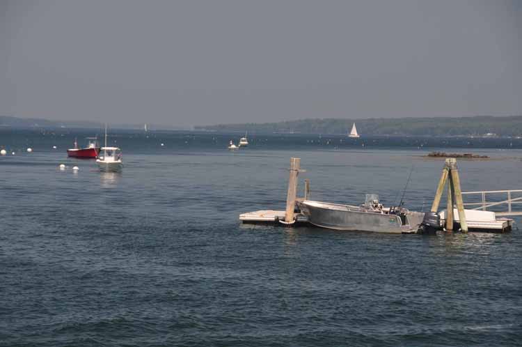 boats in harbor